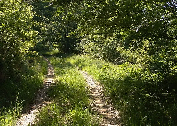 컨트리하우스 La Gandara